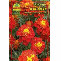 Цветы Бархатцы (чернобривцы) Кармен - 3 г